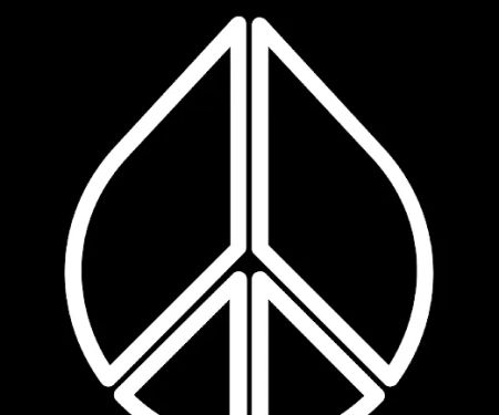 Peace Chiropractic Arts, PLLC