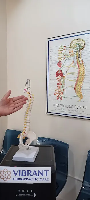 Vibrant Chiropractic Care Picture 4