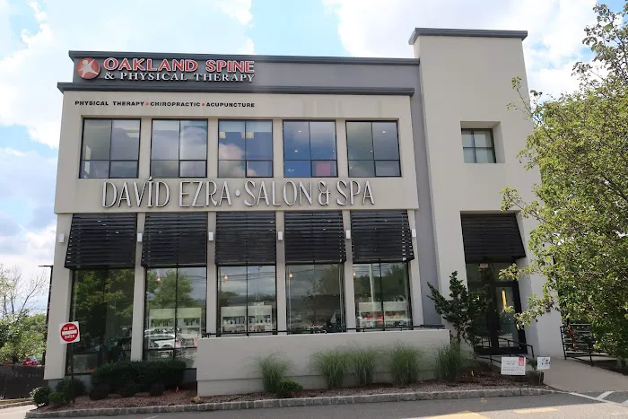 Oakland Spine & Physical Therapy Picture 3