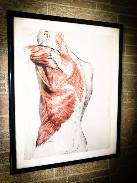 iMed Centers Stamford Picture 4