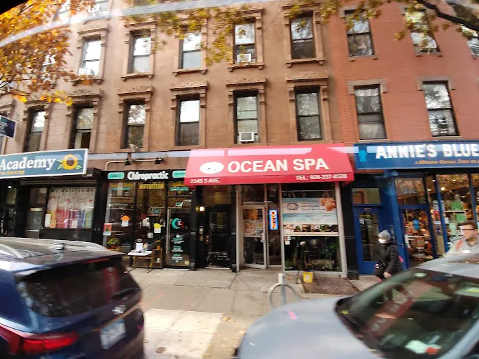 Park Slope Family Chiropractic and Nutrition Picture 3