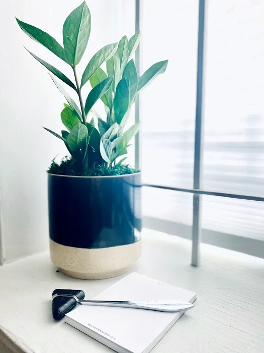 Method Chiropractic Picture 6