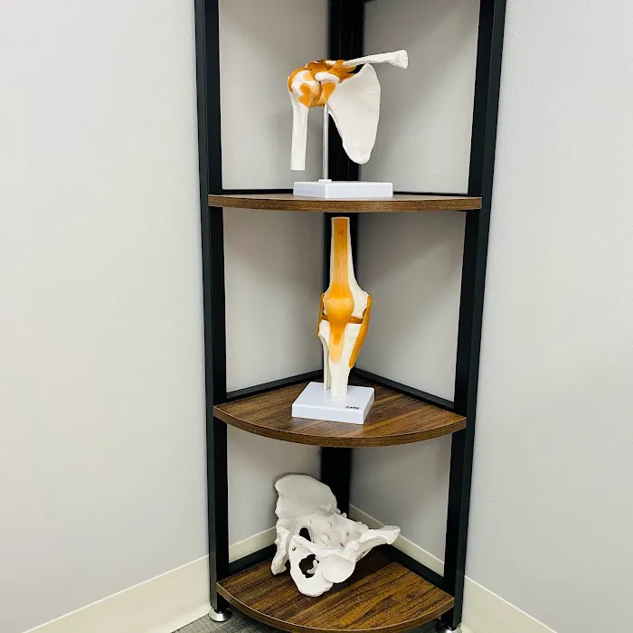 Active Sport & Spine Therapy - Chiropractic - Acupuncture - Physical Therapy - Little Falls NJ Picture 7