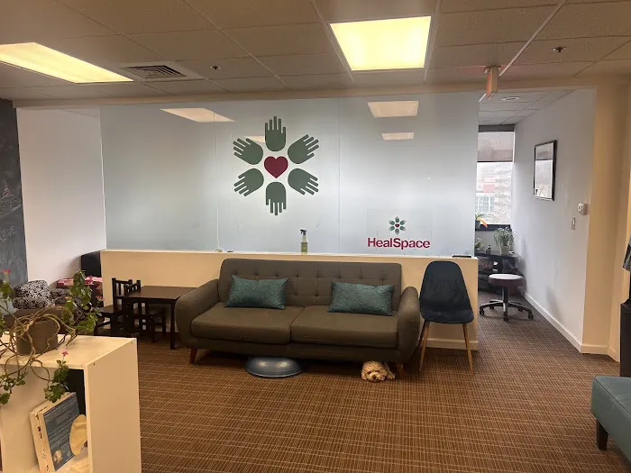 HealSpace - Prenatal & Family Holistic Center Picture 1