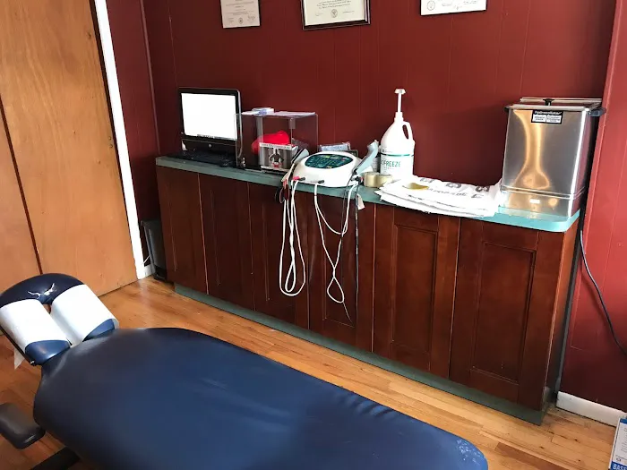 Performance Edge Chiropractic - Dr. Pietro Baio Picture 8