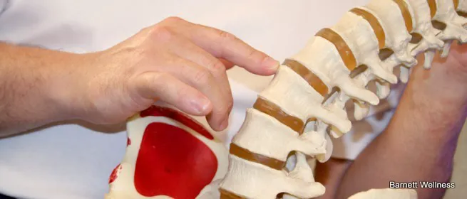 Chiropractic Wellness Brooklyn NYC Picture 5