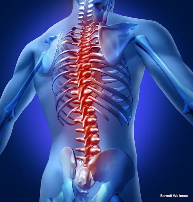 Chiropractic Wellness Brooklyn NYC Picture 8