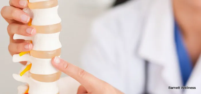 Chiropractic Wellness Brooklyn NYC Picture 7