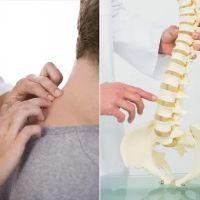 NJBack Chiropractic Center ico