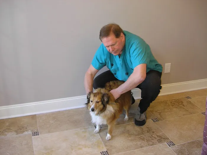 Dr. Marc Sommer, DC, CAC, AVCA Certified Animal Chiropractor Picture 2