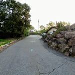 Great Notch Chiropractor