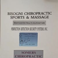 Bisogni Chiropractic - Somers Chiropractor ico