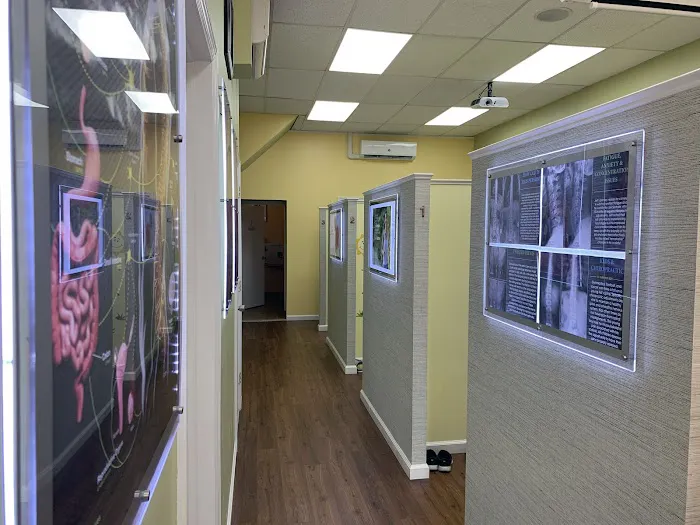 Compassion Chiropractic Office 仁愛脊椎康復中心 Picture 4