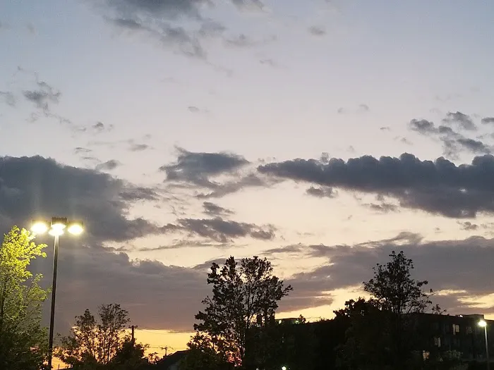 Dr. Eric Feintuch Picture 8