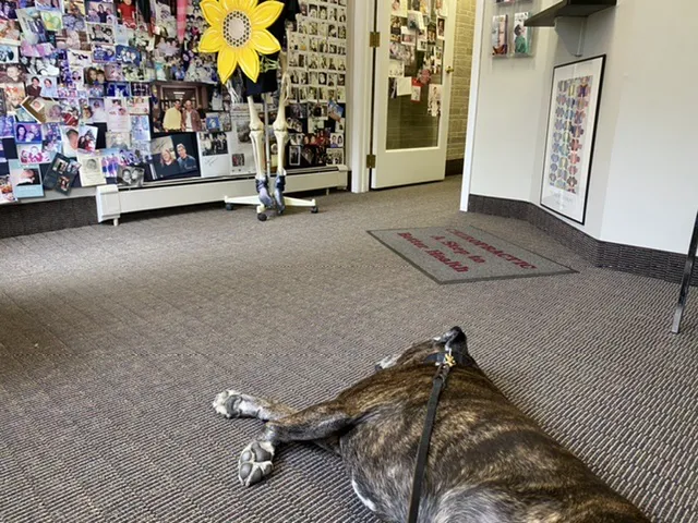 Family Chiropractors of Montclair Picture 4