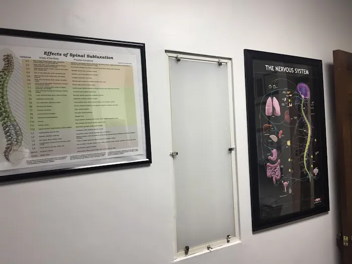 Live Holistic Picture 8