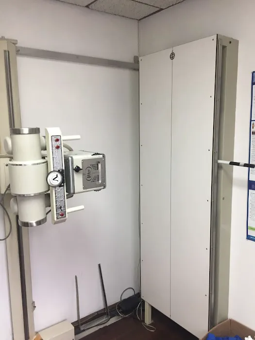 Live Holistic Picture 5