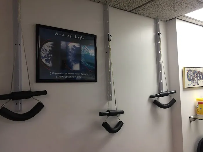 Live Holistic Picture 6