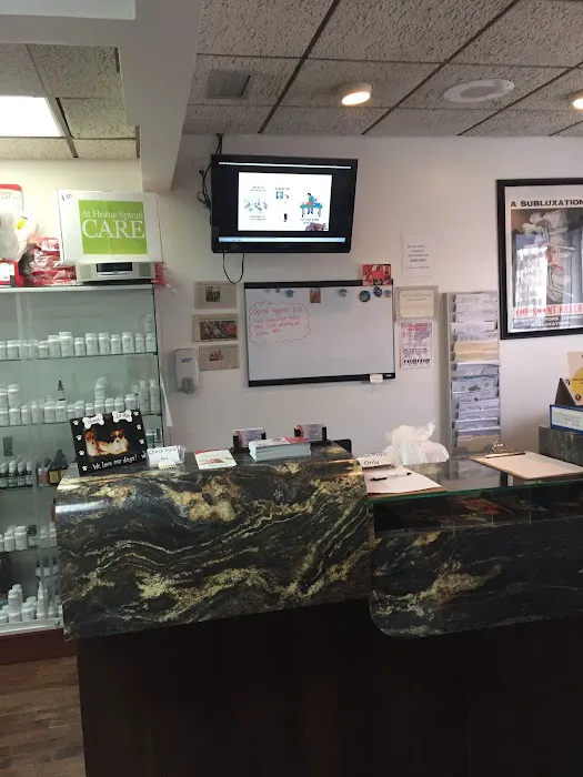 Live Holistic Picture 9