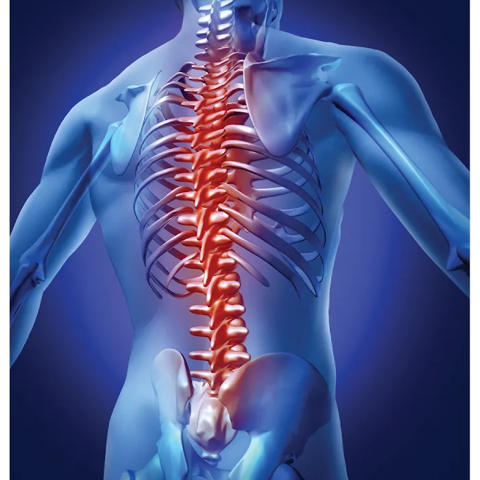 Dr. Joseph D. Salamone, DC, DAAPM, FRCCM Picture 4