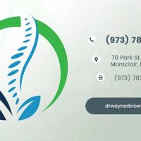 Wayne R. Brown, DC, DAAPM, CFMP ico