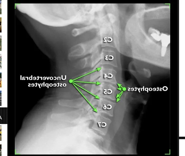Carlucci Chiropractic Picture 1