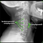 Carlucci Chiropractic