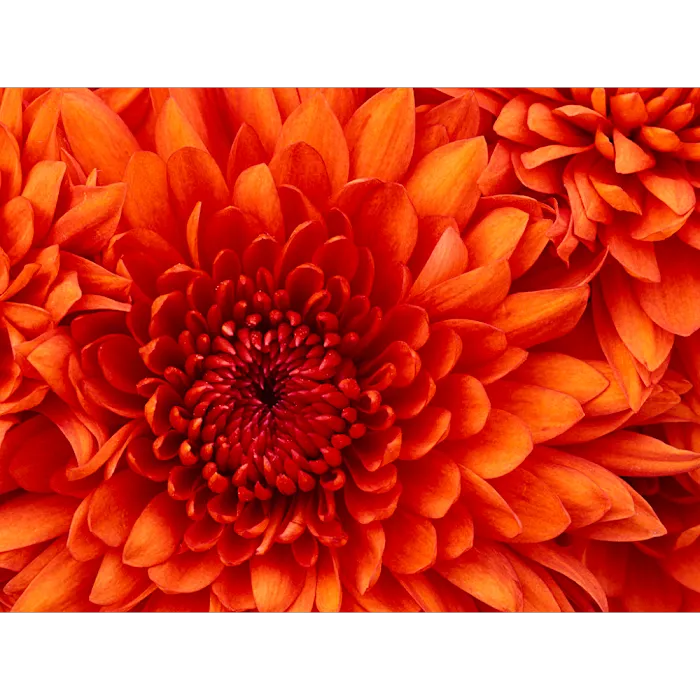 Fit for Life Chiropractic Center Picture 10