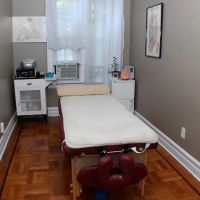 Clinical Nutrition and Chiropractic (Brooklyn Integrative Health Care) ico