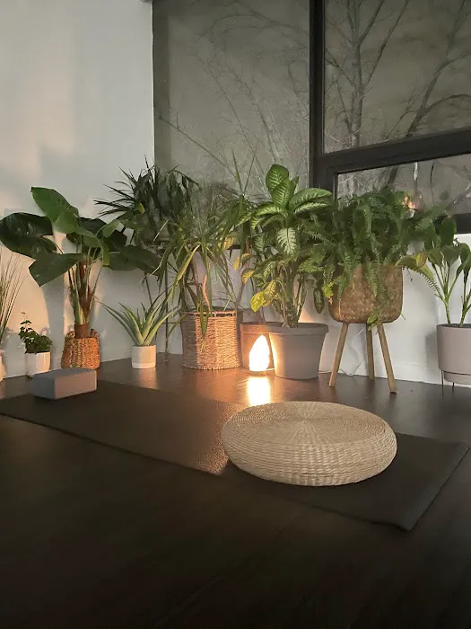 House of Health - Chiropractic, Acupuncture & Massage Therapy - Dr. Caitlin Brown Picture 7