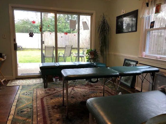 Dr. Wayne Batterman, Chiropractor Picture 1