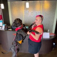 The Joint Chiropractic ico