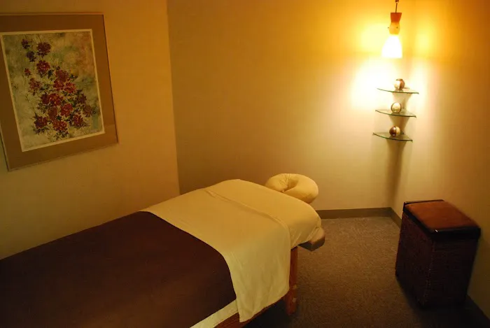 Santiago Chiropractic Associates Picture 8