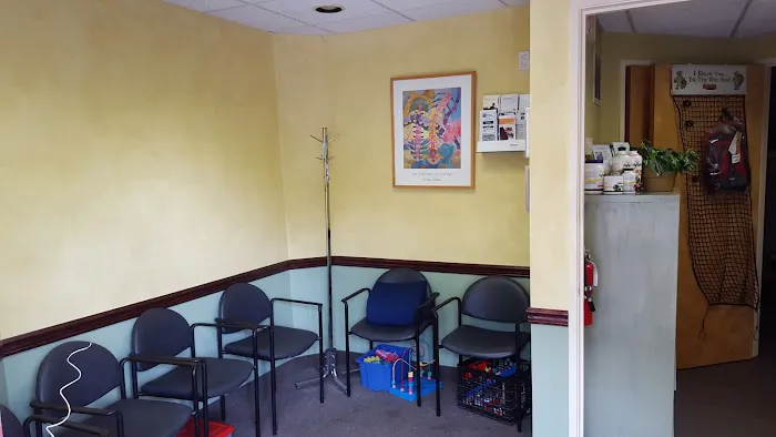 Dr. Steven B Goldstein, DC Picture 5