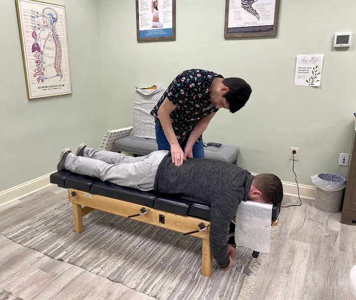 The Nest — Family, Pediatric + Prenatal Chiropractic Picture 4