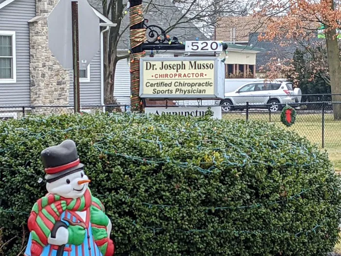 Musso Chiropractic Center Picture 2