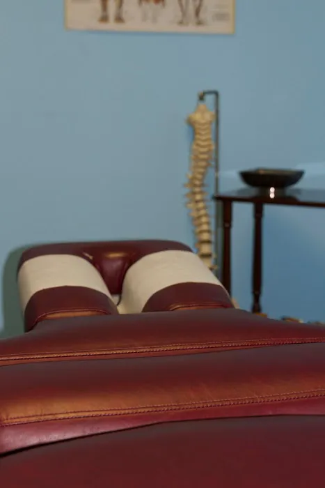 Posture Perfect Chiropractic Picture 9