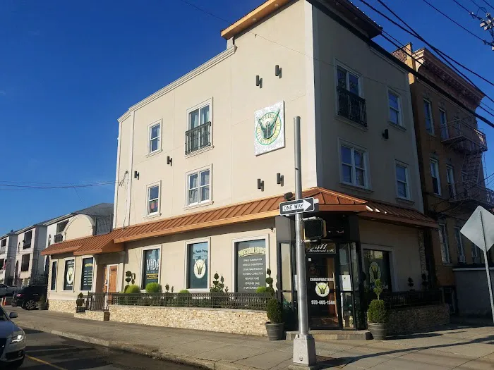 Vida Chiropractic Picture 6