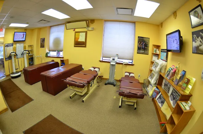 Pereira Chiropractic / Vida Chiropractic Picture 5