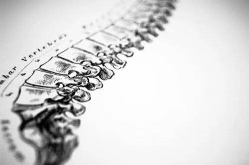 Muchnick Chiropractic Picture 6