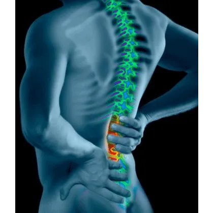 Muchnick Chiropractic Picture 7