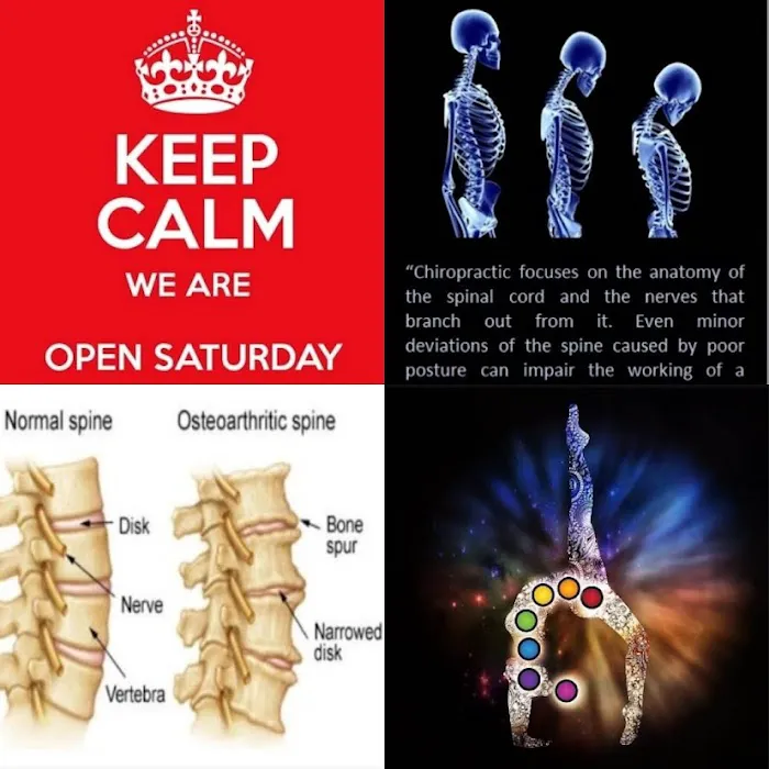 Miller Chiropractor Center, LLC Picture 4