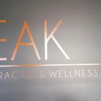 Peak Chiropractic & Wellness ico