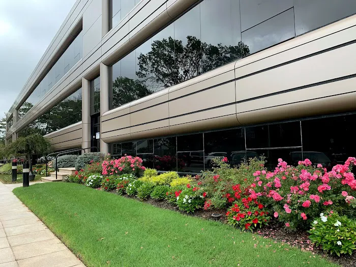 Body By Design Wellness Chiropractic PLLC Picture 4