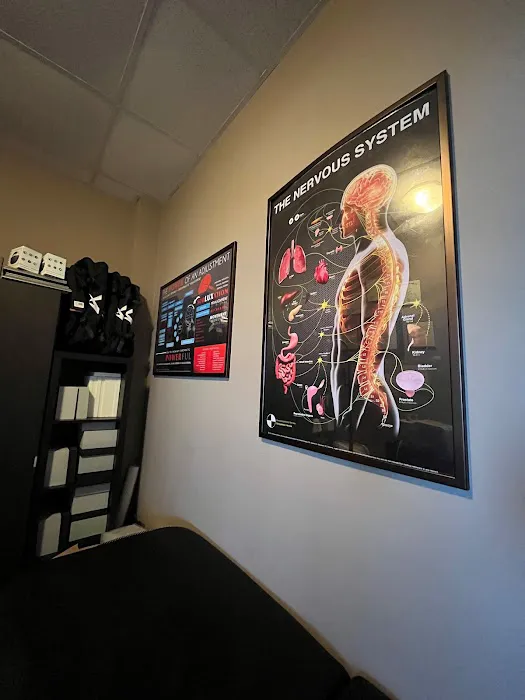 Body By Design Wellness Chiropractic PLLC Picture 10