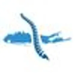 Islandwide Chiropractic Picture 1