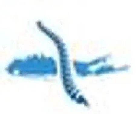 Islandwide Chiropractic