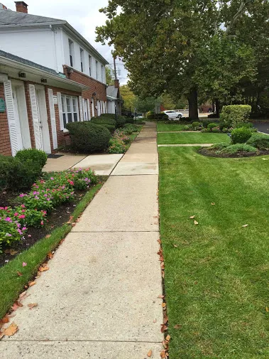 Livingston Chiropractic and Rehab, Dr. Ralph Santonastaso, DC Picture 3