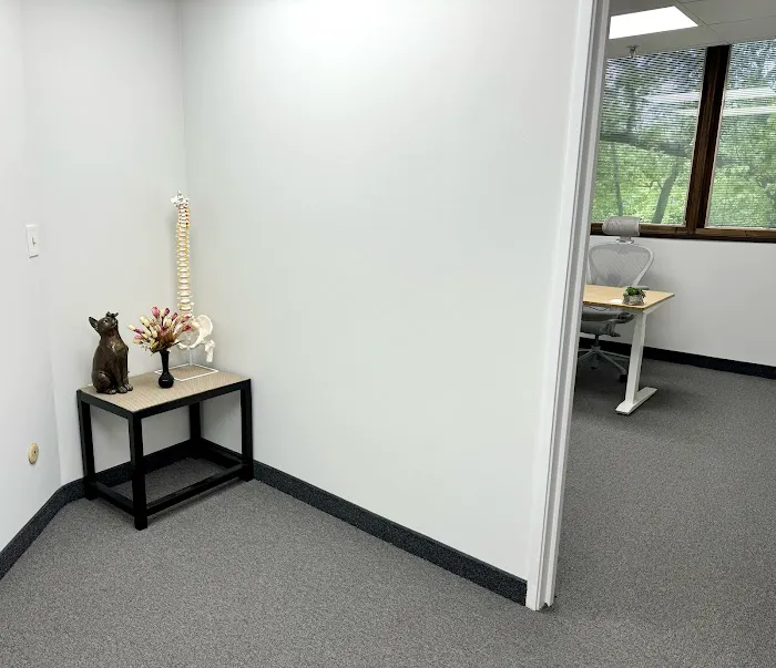 Body Balance Chiropractic Picture 3