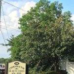 Dr. Ruth Cohen North Shore Chiropractic Health Center